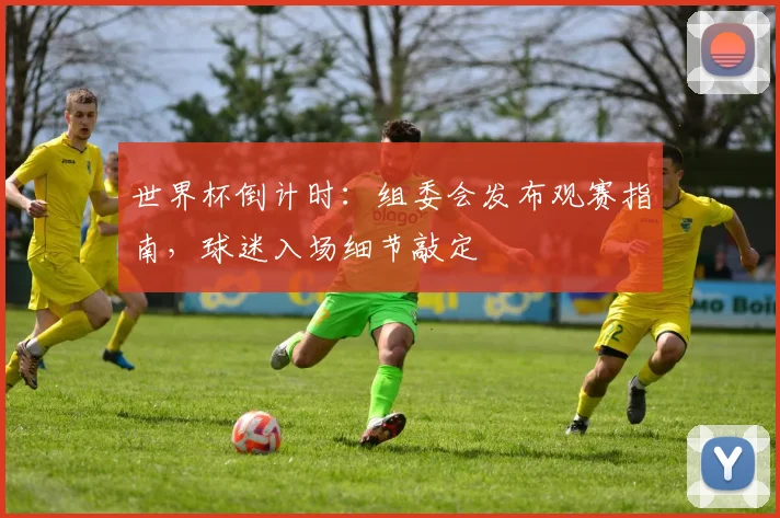 世界杯倒计时：组委会发布观赛指南，球迷入场细节敲定
