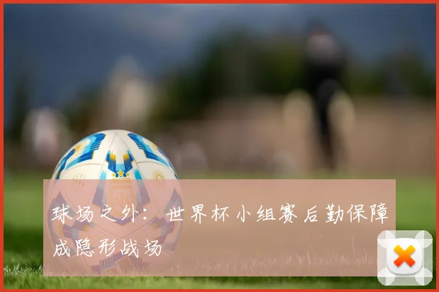 球场之外：世界杯小组赛后勤保障成隐形战场