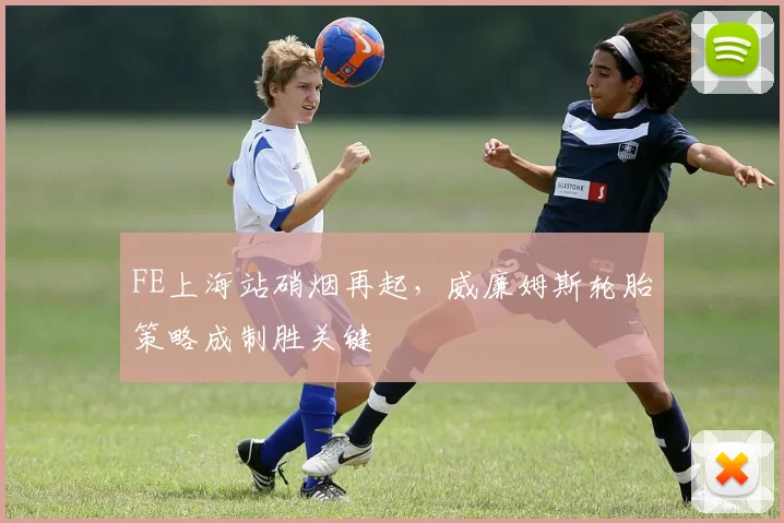 FE上海站硝烟再起，威廉姆斯轮胎策略成制胜关键